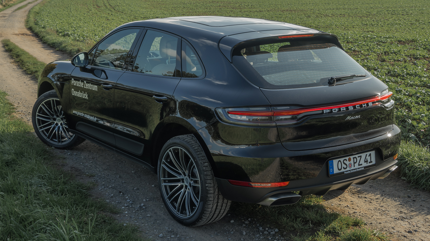 Macan